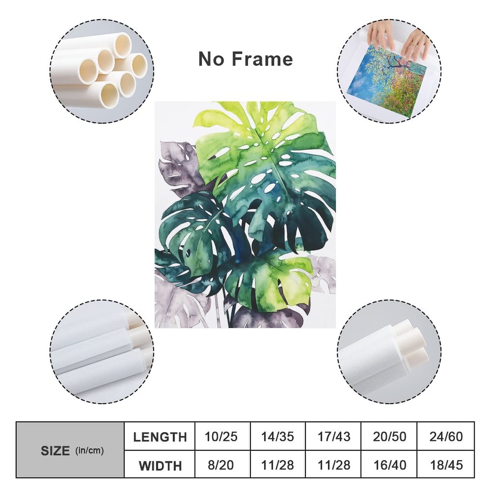 Amazon.co.jp: 絵画 モンステラの水彩画インテリア 絵画 植物イラスト