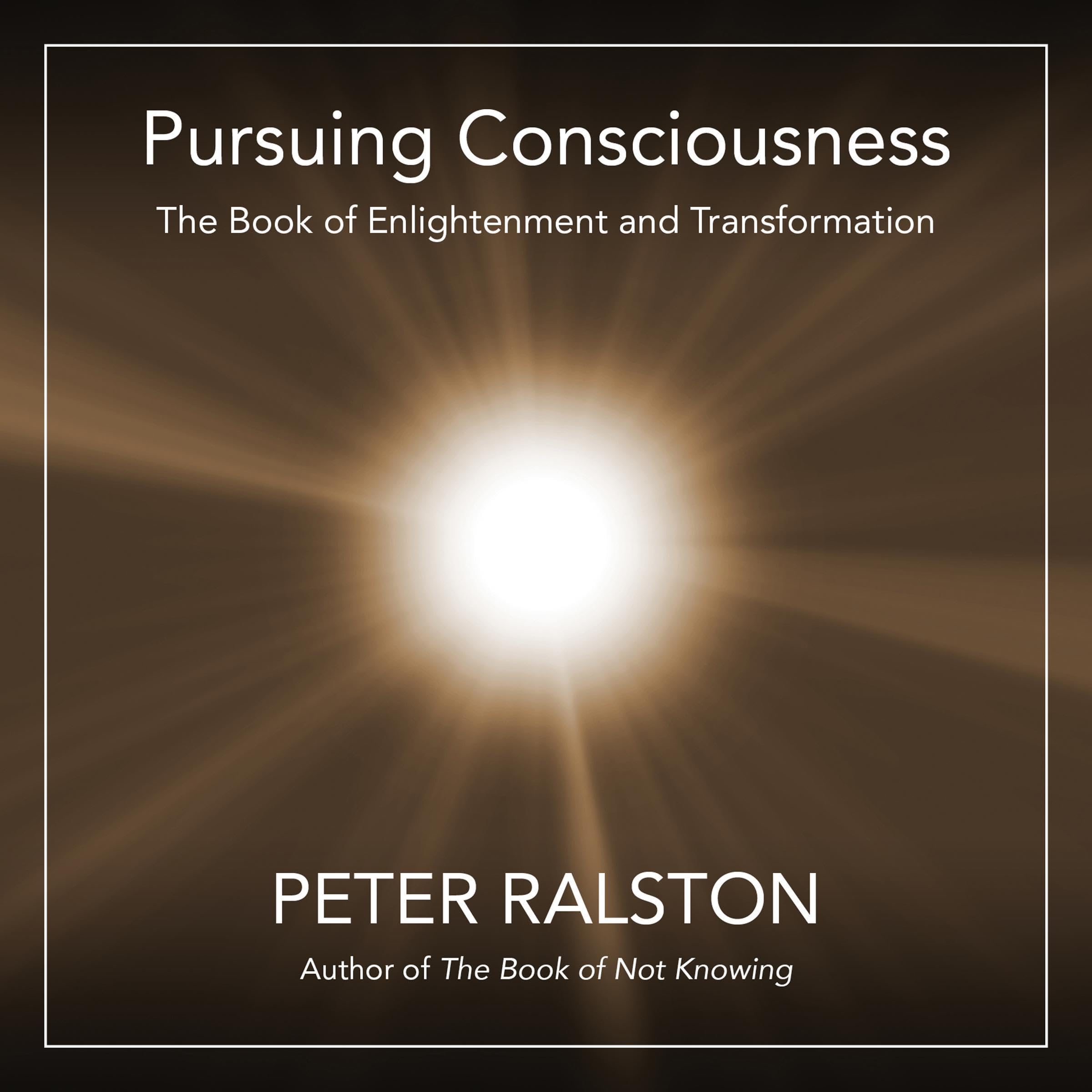 Pursuing Consciousness