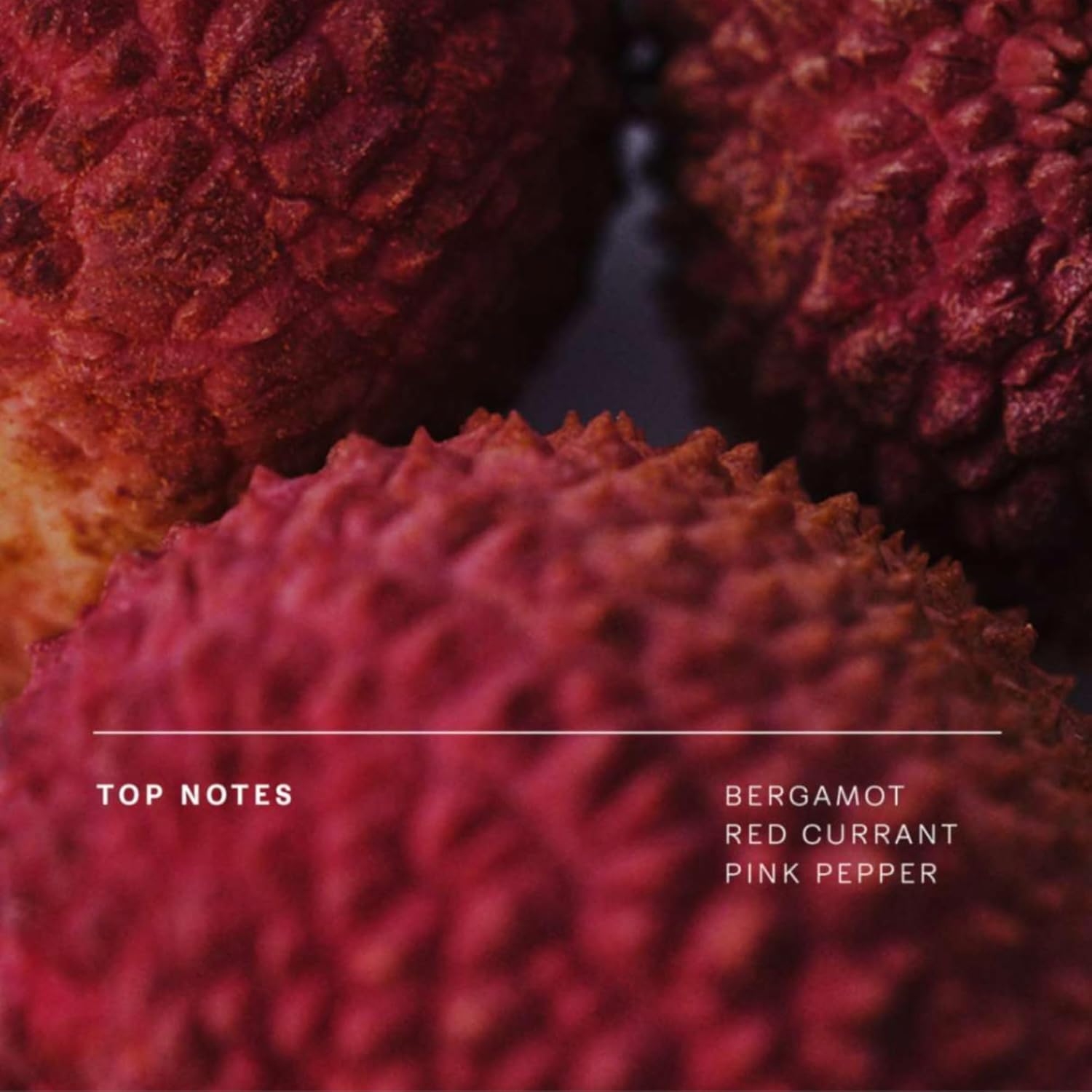 Future Society Solar Canopy Perfume - Rich Fruity Floral Eau de Parfum with Notes of Bergamot, Rose, Vetiver & Sugar - Luxury Perfume Inspired by Hawaiian Hibiscus - Modern Unisex Fragrance - 9.5ml - Image 4