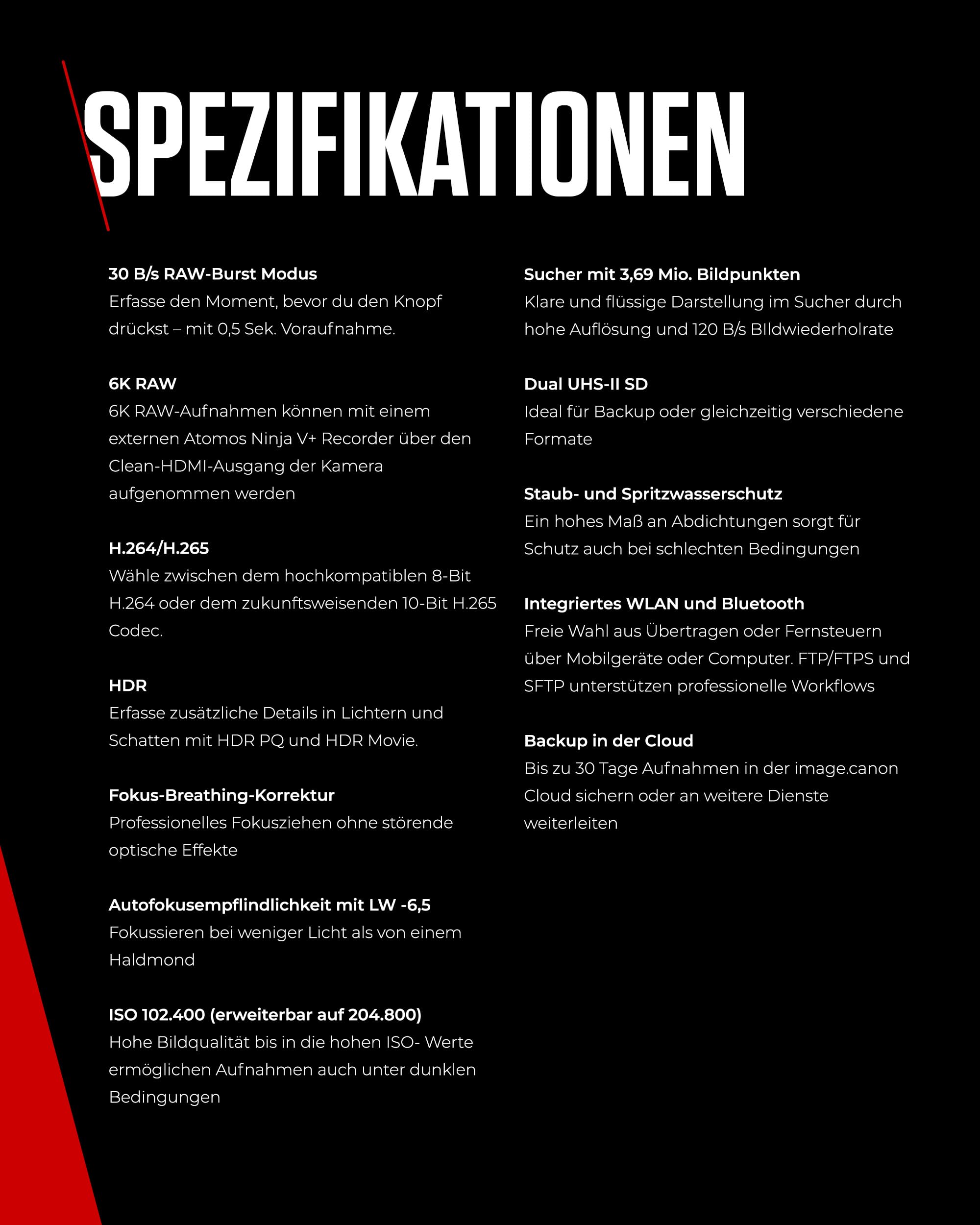 Canon EOS R6 Mark II Systemkamera Spiegellose Vollformat 4K Video 40 Bilder/Sekunde Wi-Fi Bluetooth
