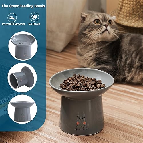 Miniatura 5 de TAMAYKIM Cuencos de cerámica elevados extra anchos de 6.5 pulgadas para gatos, cuencos de comida y agua para gatos mayores grandes y perros