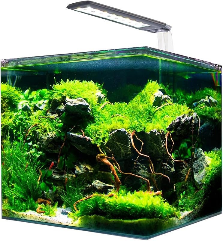 AMTRA NANOTANK SYSTEM 30 / Acquario in vetro completo di luce LED e filtro / cm 30x30x35 / 30 Litri