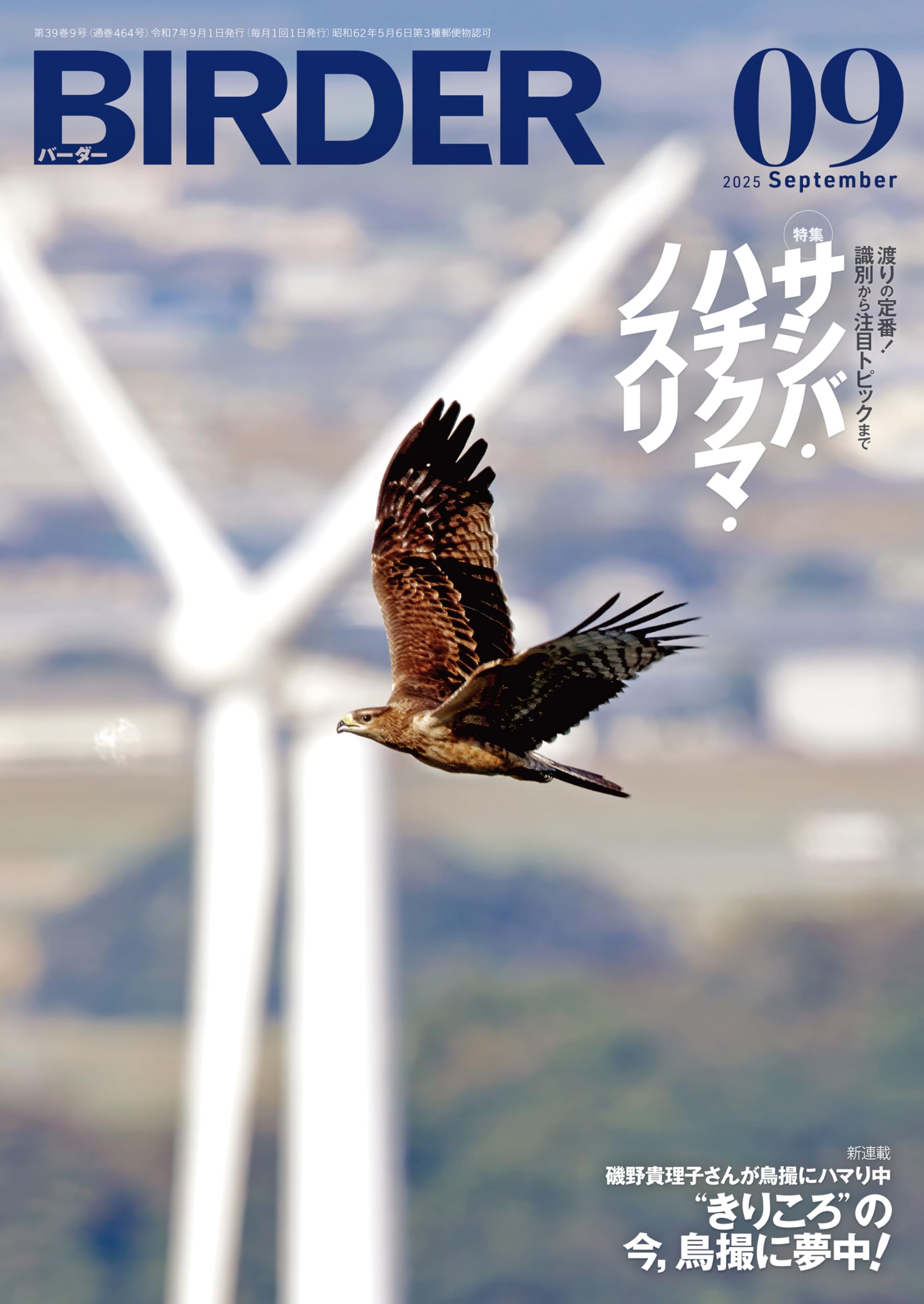 Amazon.co.jp: BIRDER編集部: 本、バイオグラフィー、最新