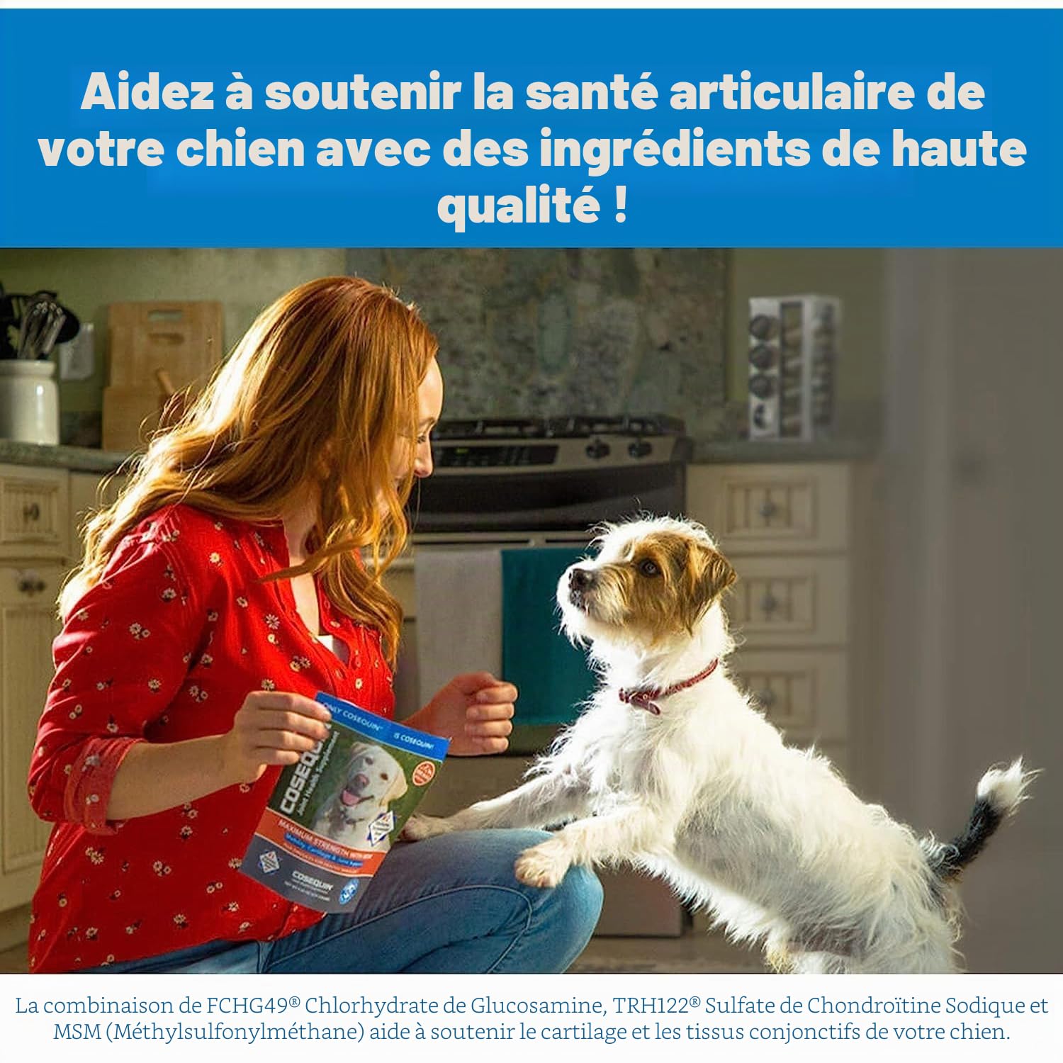 Cosequin DS Plus Msm commun Supplément santé pour Les Chiens 180 comprimés à croquer