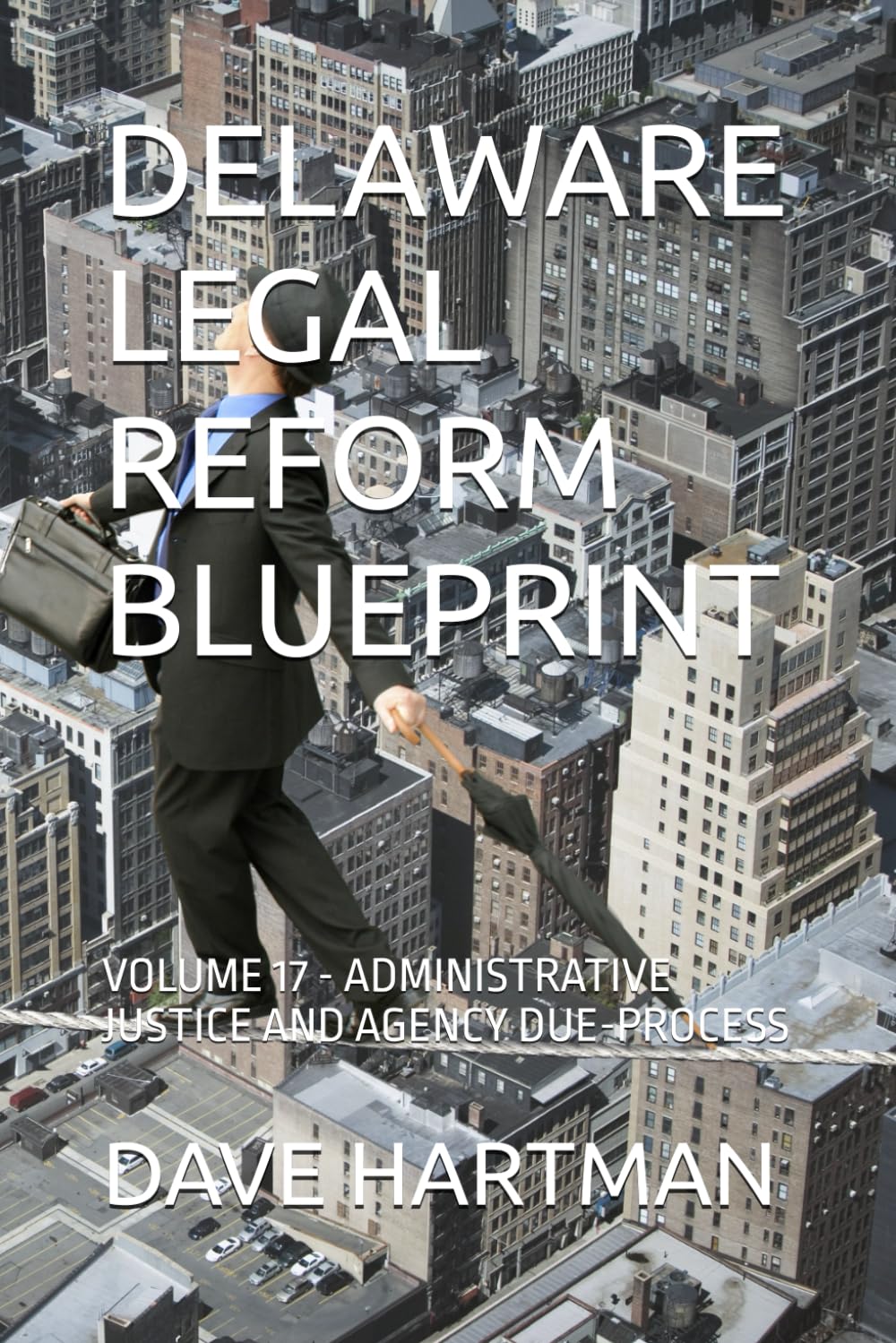 DELAWARE LEGAL REFORM BLUEPRINT: VOLUME 17 - ADMINISTRATIVE JUSTICE AND AGENCY DUE-PROCESS (Delaware Legal Reform Series)