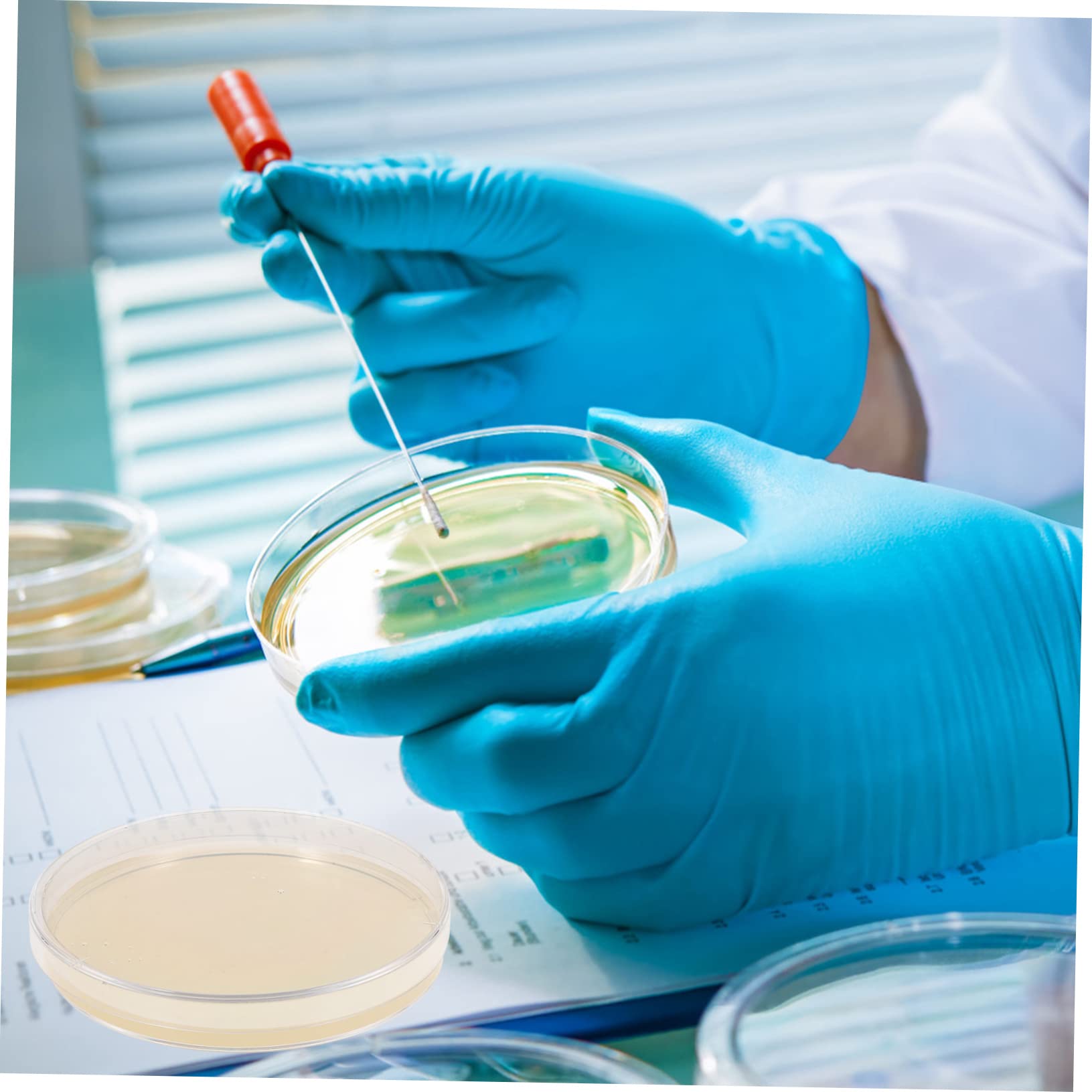 SOIMISS Lot de 10 Boîtes de Petri à Agar Pré-coulées, Plaque de Culture Cellulaire en Agar, Facile à Transporter, Design Professionnel pour Projets Scientifiques