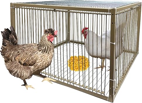 15" H Chicken Pigeon Trap Cage Birdcage Small Animal Trap Cage with Escape-Proof Design for Bird Turkey Duck Dove 23.6" L x 23.6" W x 15.7" H