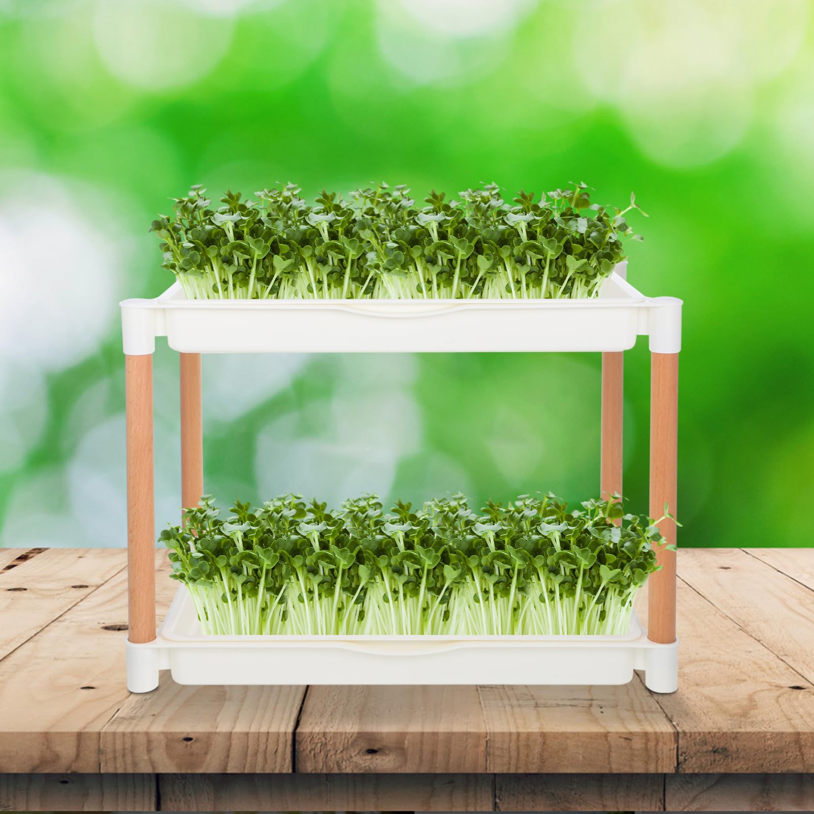 Anzuchtschale Microgreens Doppellagig Pp Pflanzenkeimung Keimschale mit Engmaschigem Netz für Drinnen und Hydroponik