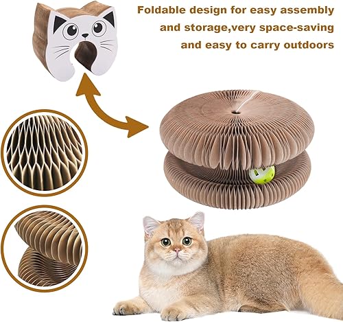Miniatura 4 de Kitty kurlz Juguete para gatos Magic Organ Scratcher Board & Ball Adventure, Ultimate Interactive Mental & Physical Exercise for Indoor Cats