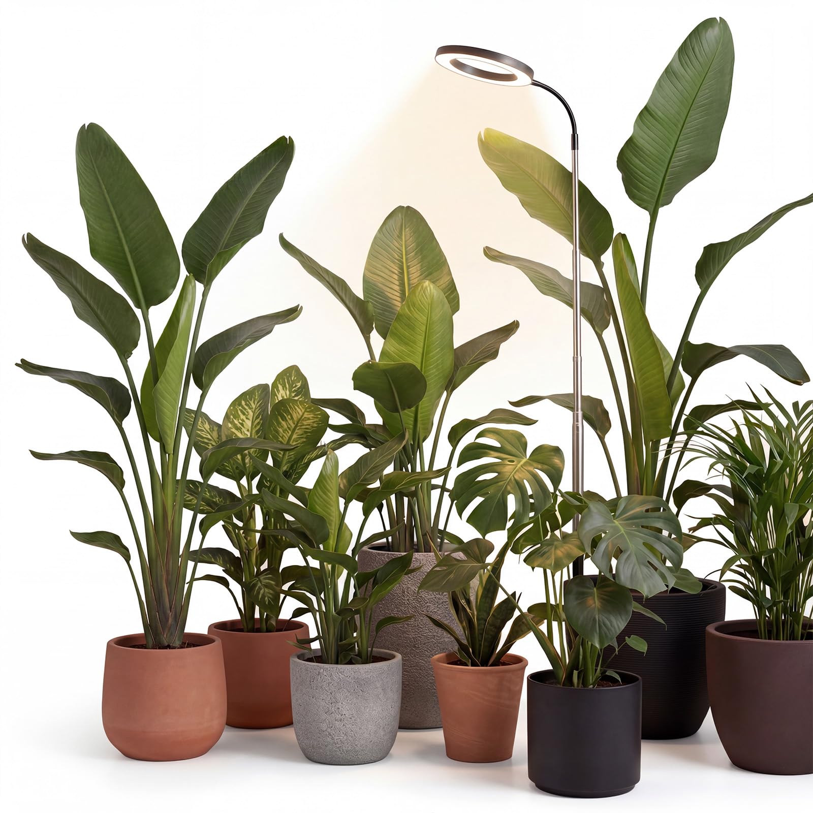 Evergoods Black Grow Lights For Indoor Plants, 193Cm Tall Full Spectrum Plant Light With 360° Gooseneck, 72 Leds 3 Color Modes 10 Dimmable Levels, 3/9/12H Timer, Height Adjustable Floor Grow Lamp With Soil
