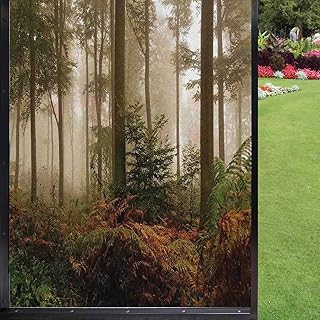 est Window Film Window Film Privacy,Mystic DarkFog Atmosphere Deep in The est Woodland Nobody Silence Image Window Film Privacy Tint Bathroom Office Living Room,Brown Orange Green 24 x 36