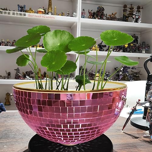 Miniatura 5 de Maceta para plantas