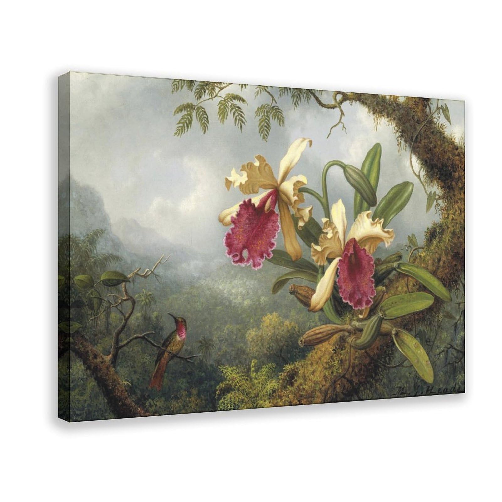 DFJyjFGJJ Martin Johnson Heade,Orchids And Hummingbird Canvas Wall Art Print Poster For Home School Office Decor 16" L X 24" W