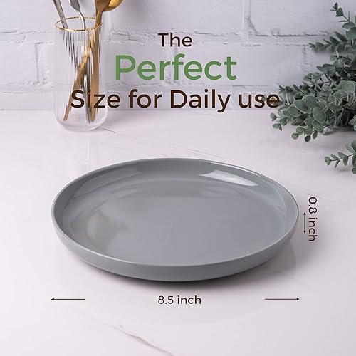 Miniatura 9 de AmorArc Juego de 6 platos de cerámica de 10.5 pulgadas para cocina, juego de platos de vajilla, apto para microondas, lavavajillas, resistente a los