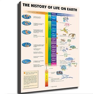 Schematic diagram of the evolution history of life on Earth Posters Modern Aesthetic Canvas Wall Art Home Interior HD Decorative Painting Holiday Gift (20×30inch-Unframed)