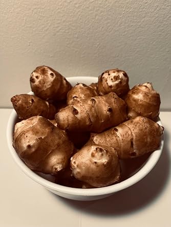 Sunchokes / Jerusalem Artichokes - 3 pounds (3lbs) for Planting or Eating - Adama Foods