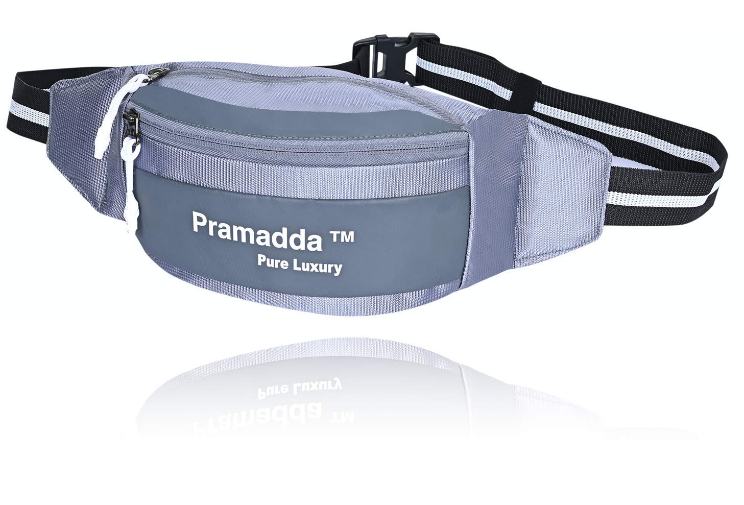 Swag Tourister Waist Bag for Men Women Passport Mobile Money Document Holder Belt Pouch Sports Small Hiking Travel Bum Bag. (Metal Grey)-image-40