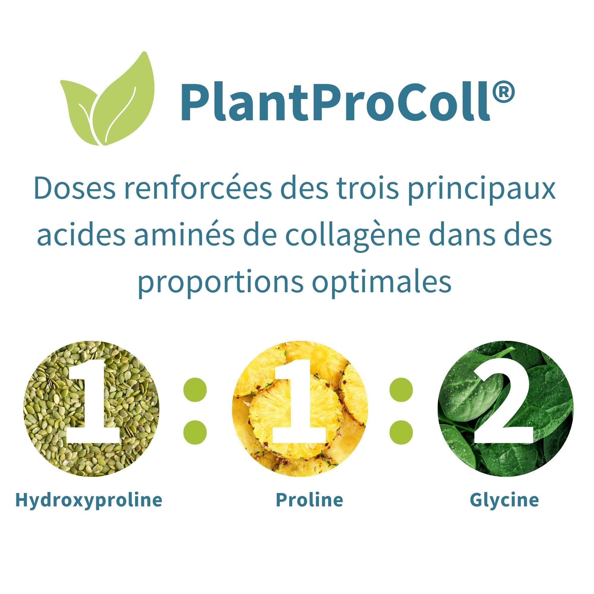 Collagène Vegan en Poudre Avancé avec Vitamine C, 11 g de Protéines, 21 Acides Aminés (y compris Glycine), Peptides de Collagène 100% Végétale, Non Aromatisé, 35 portions – par Igennus