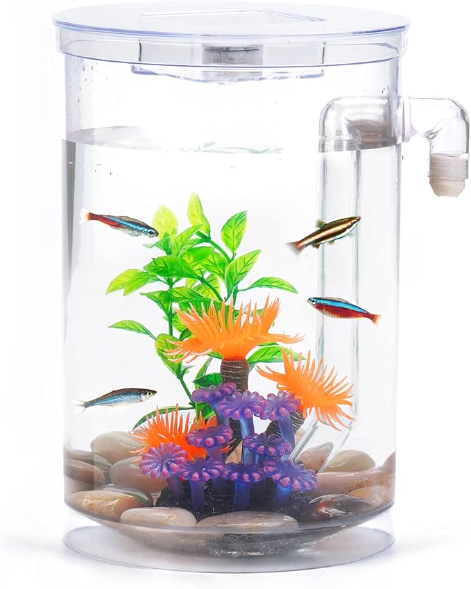Betta Fish Tank, 360 Aquarium with LED Light, 1 Gallon Fish Bowl, Small