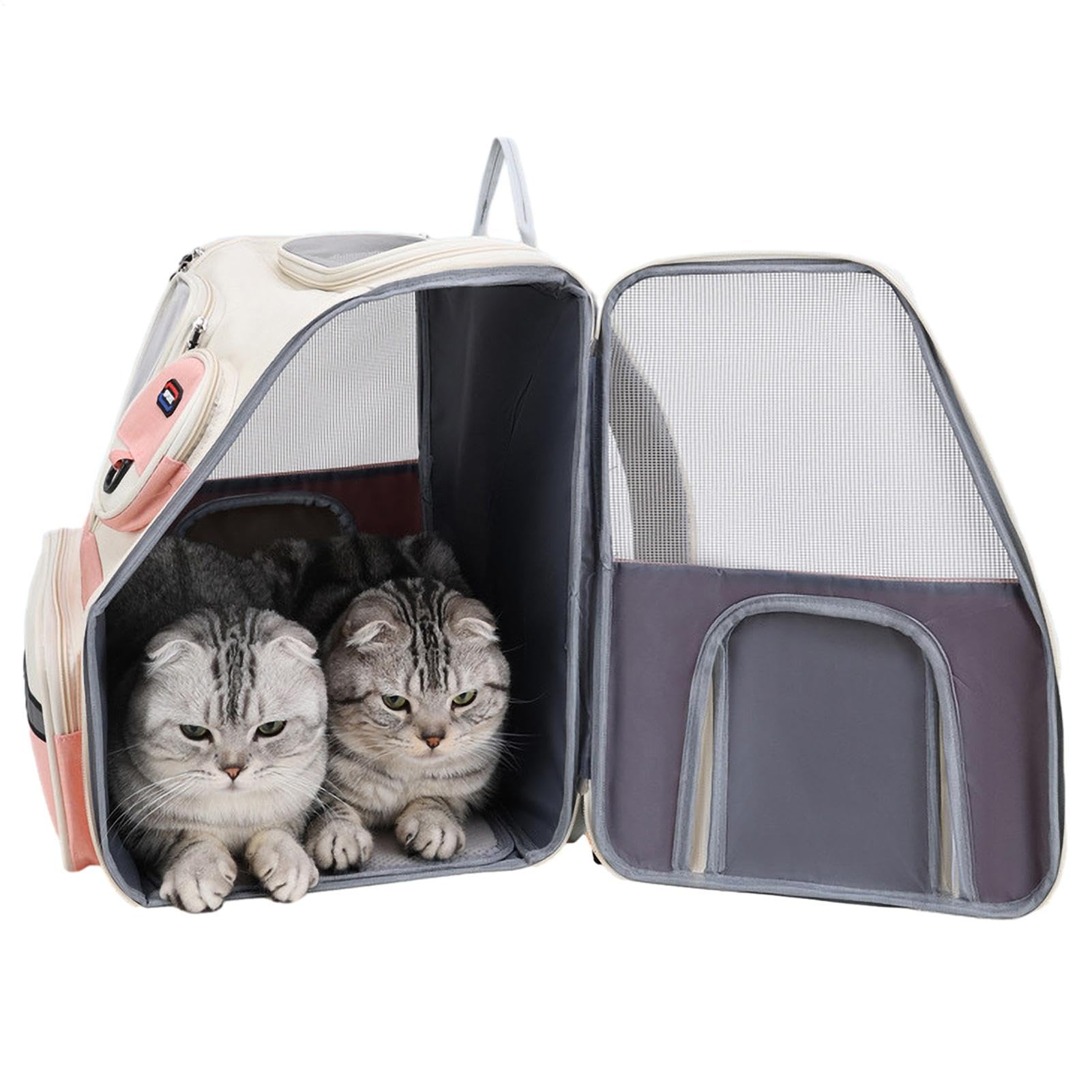 Katzenrucksack Faltbar, für kleine und mittelgroße Kitten und Welpen