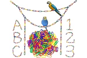 Rainbow Linking C-Clips: The Ultimate Sensory and Motor Skill Toy for Kids