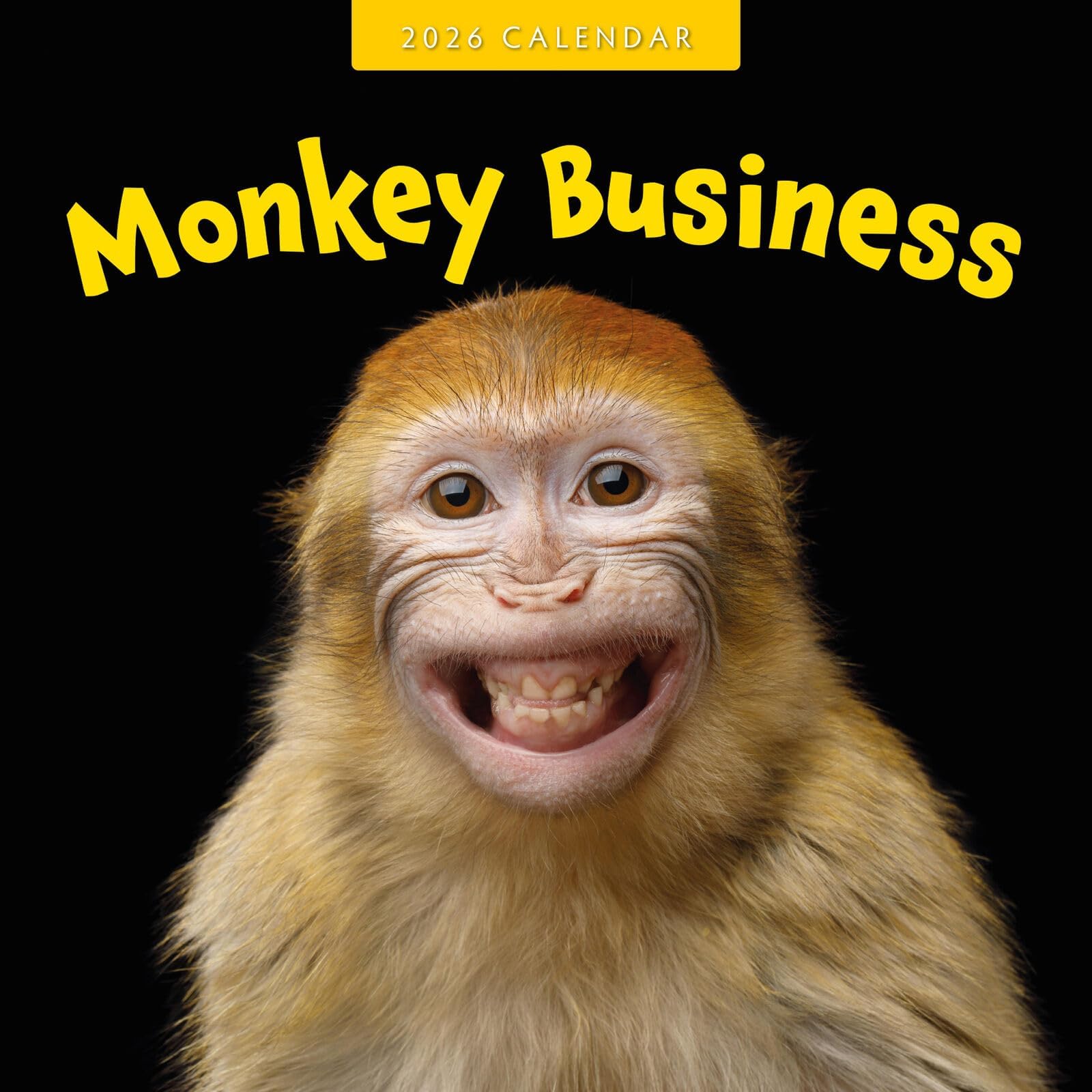 Monkey Business 2026 Square Wall Calendar