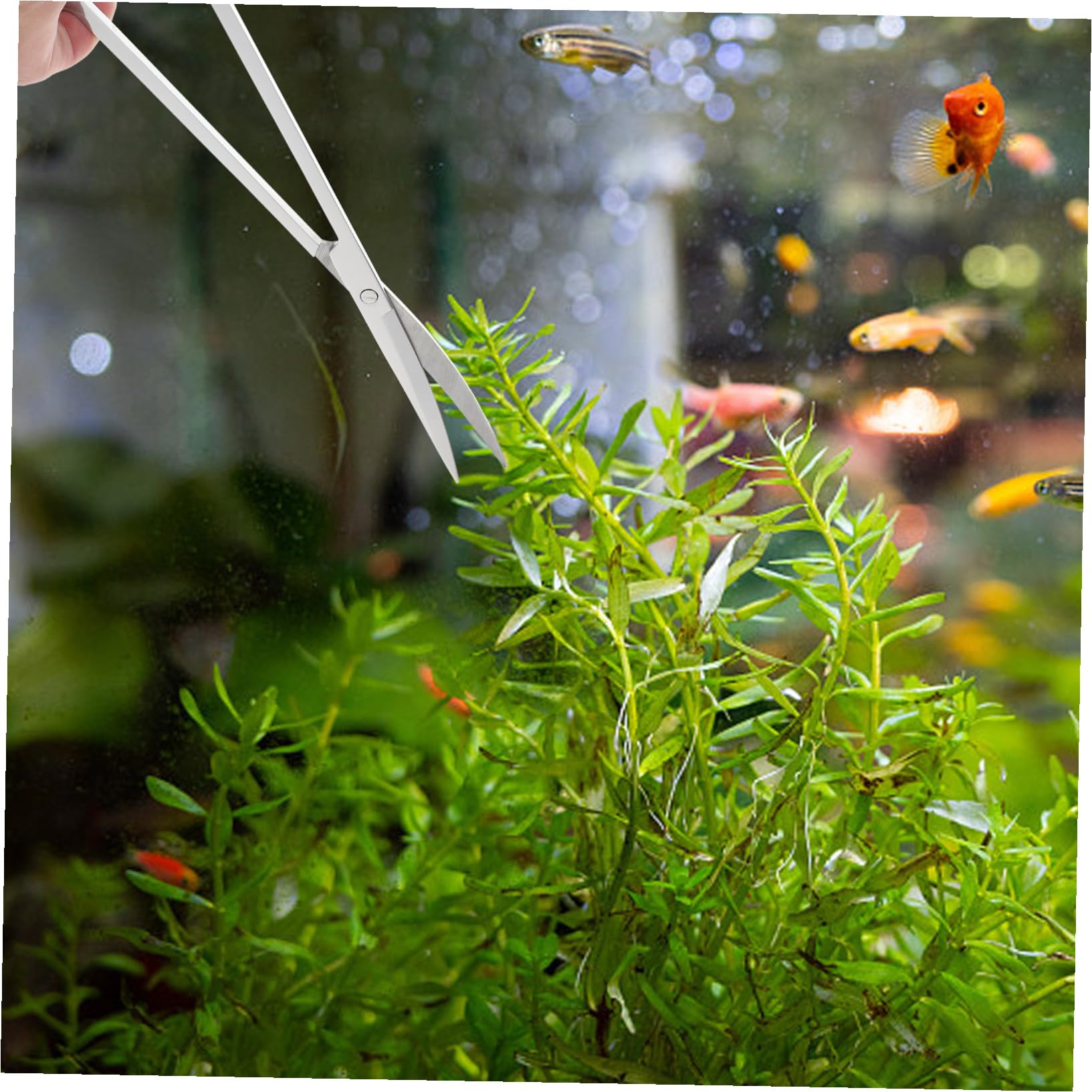 BESTonZON Tijeras para Césped Acuático Pinzas Largas para Acuario Pala de Acero Inoxidable para Acuario Suministros para Mantenimiento y Limpieza de Sustrato