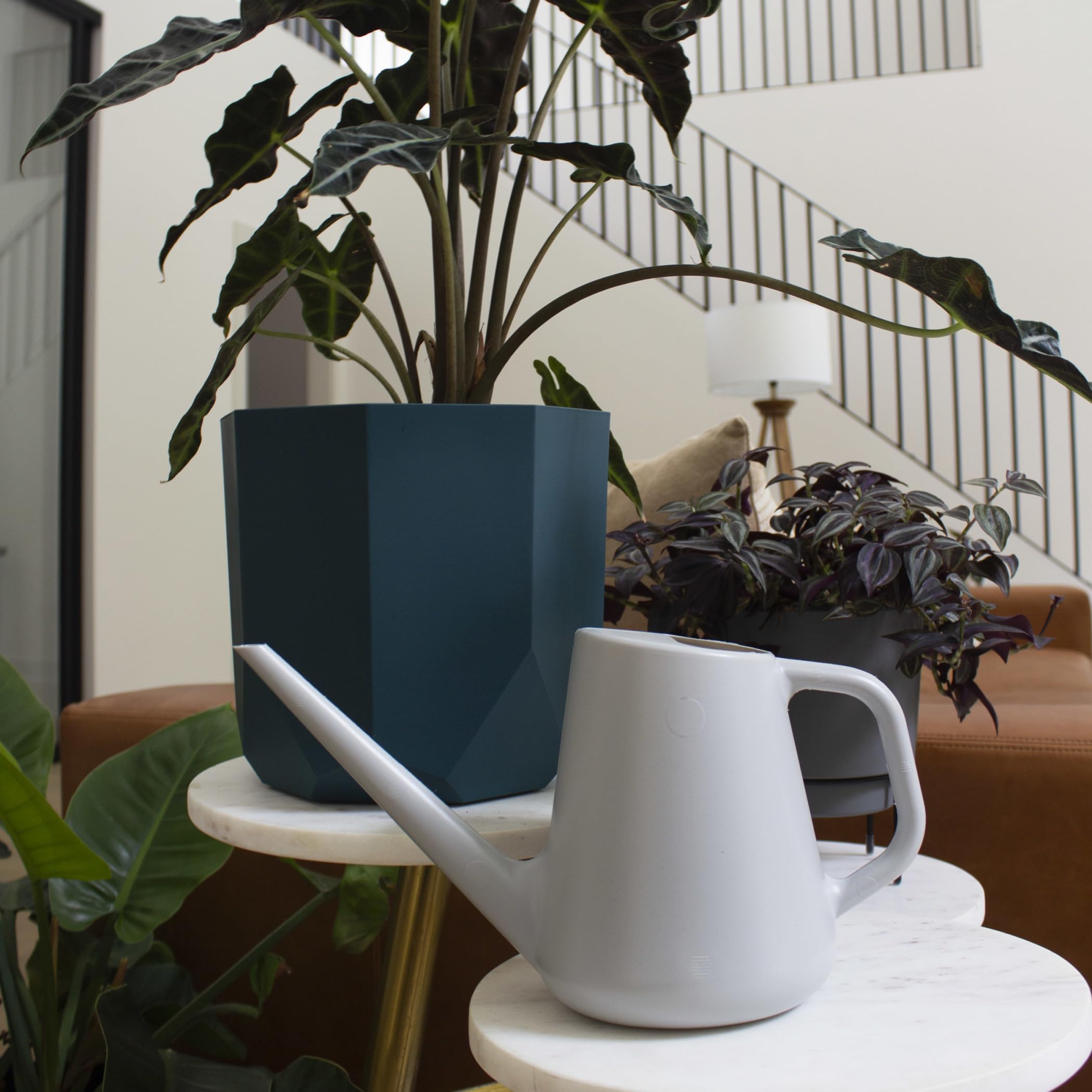Amazon.com : Bloem Fern 50 Oz. Gray Watering Can - 1 Each : Patio