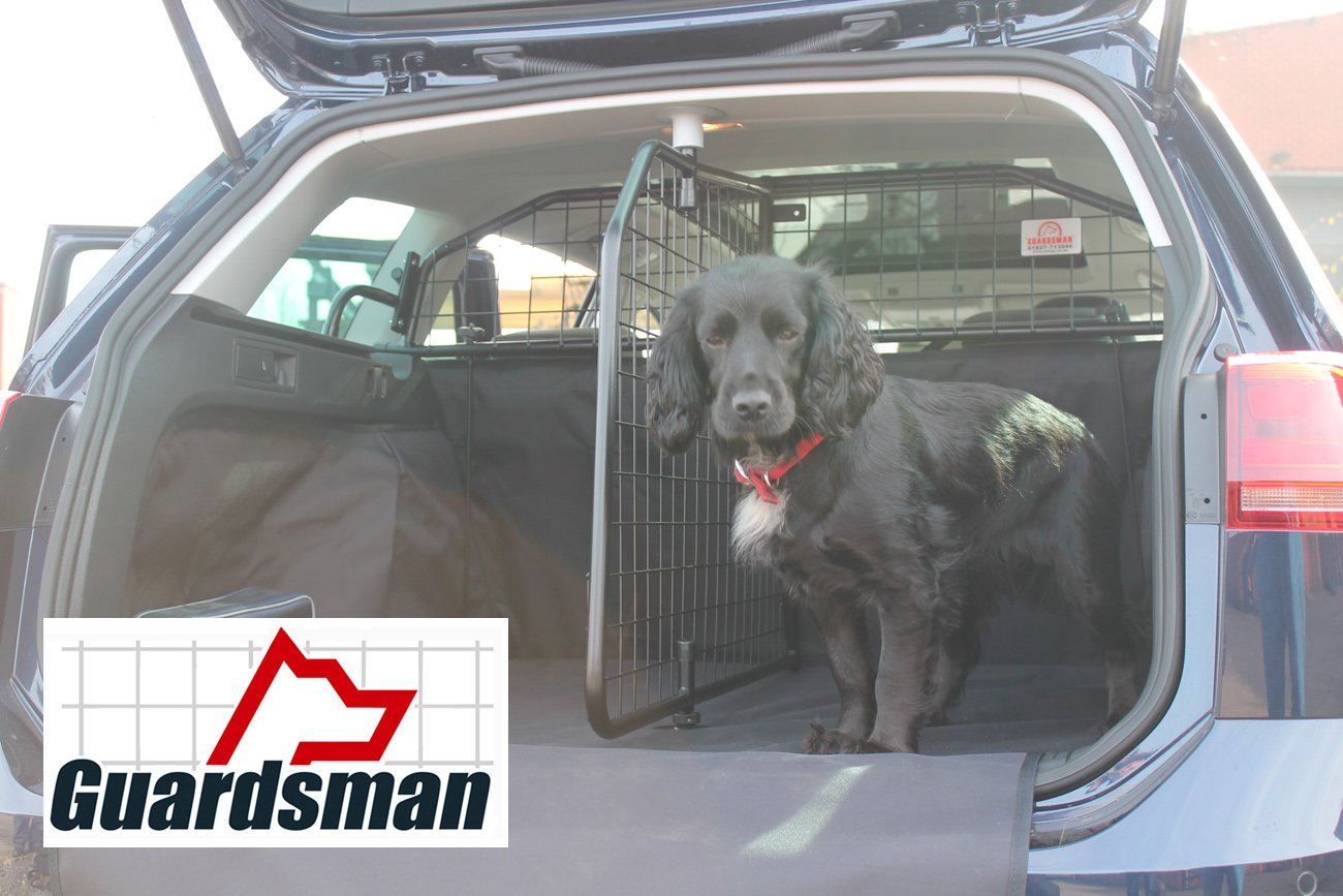 boot divider for dog