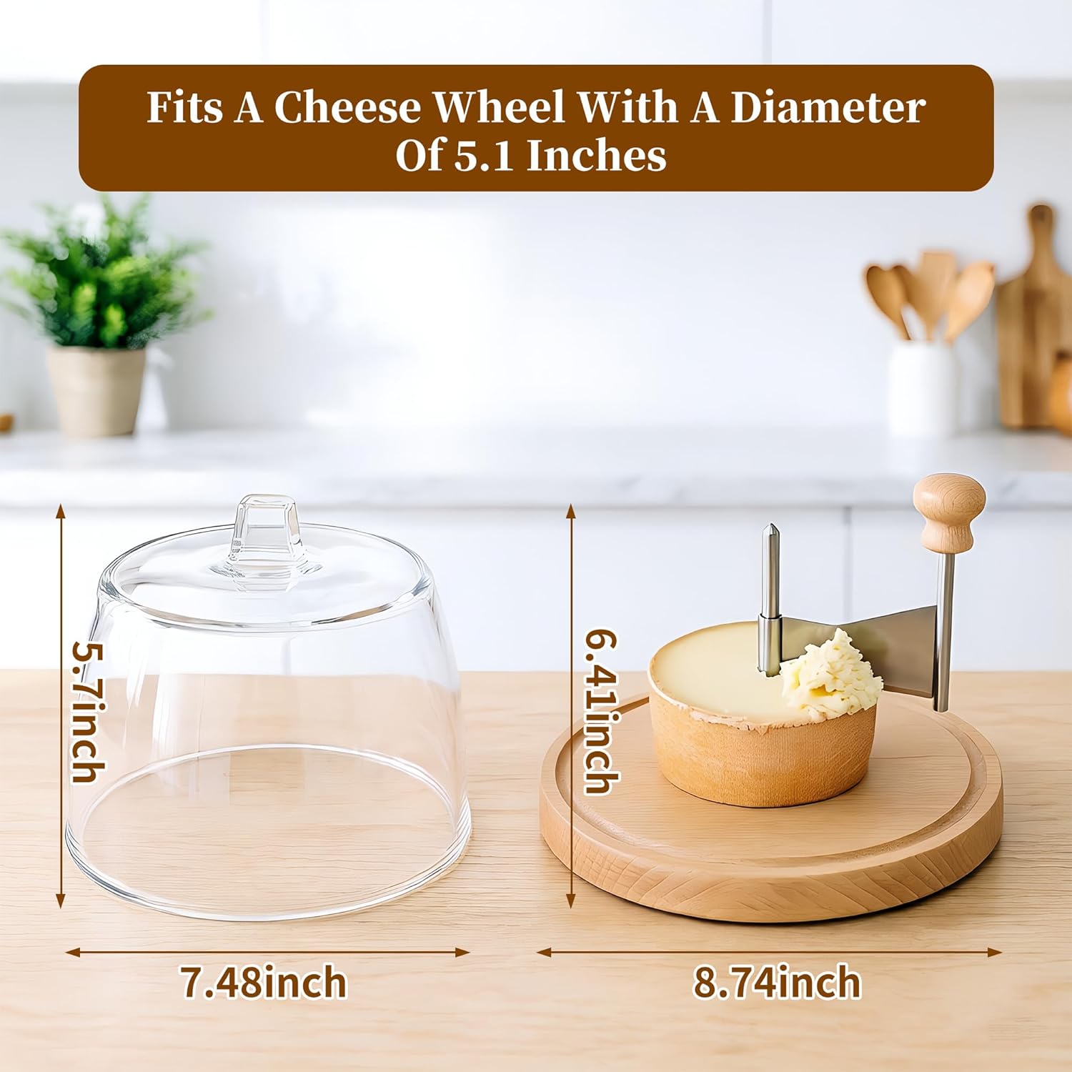 THOUSANDSUNNY Cheese Curler with Lid, Manual Cheese Curler Wheel Stainless Steel Slicer Chocolate Flower Shaver Tool Wooden Base for Kitchen