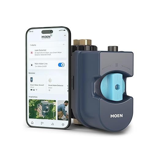 Moen