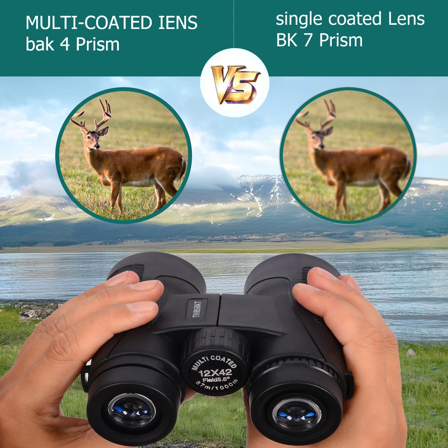 Jumelles 12x42 HD Pour Adultes - Pour Observation Oiseaux, Voyages, Chasse - Prisme BAK-4 - Étanches - Avec Adaptateur Téléphone