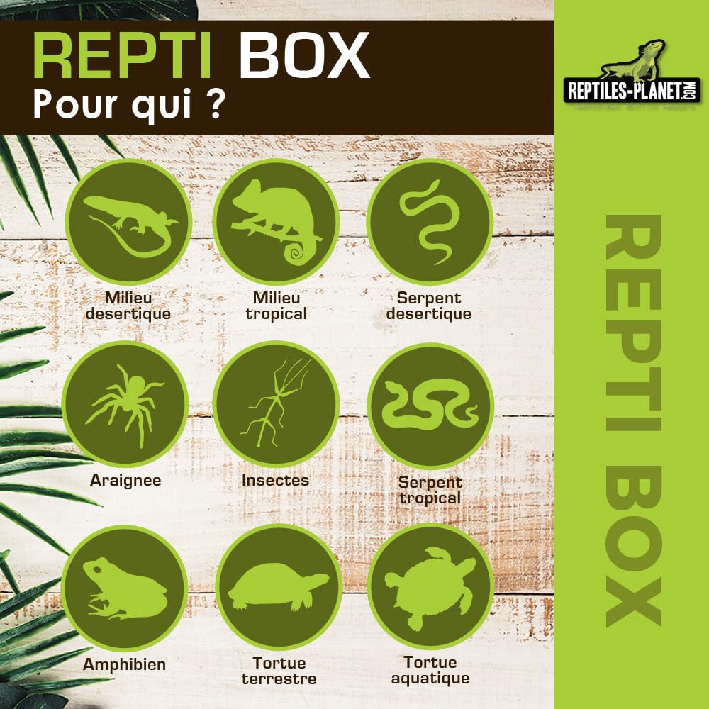 Reptiles Planet Repti Box XL Boite de Transport 42 x 26 x 16 cm