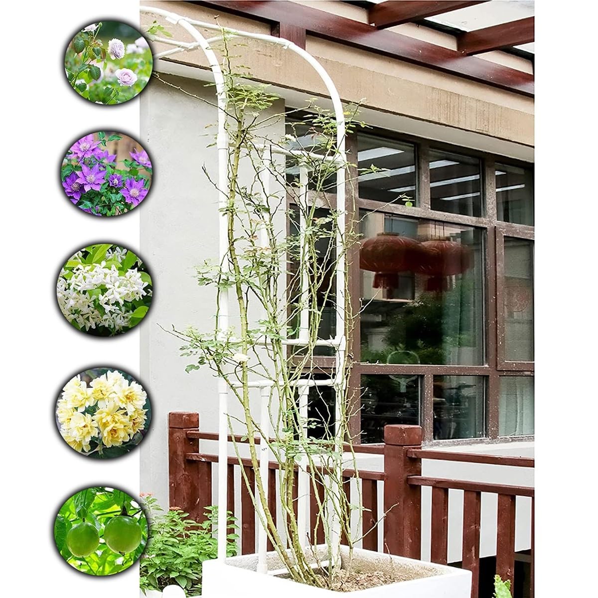 Arco de boda de media cara en acero resistente para guiar el crecimiento de plantas trepadoras