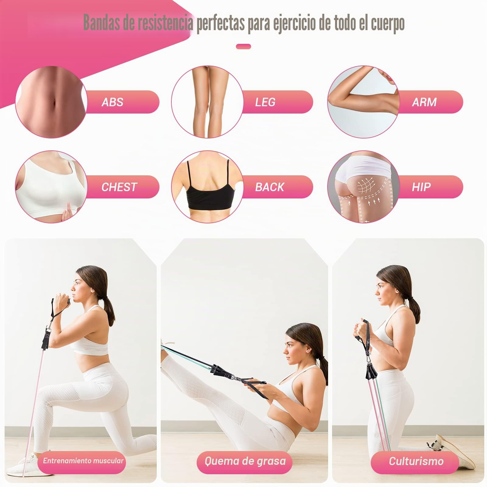 Cintas Elasticas Musculacion, 5 Resistance Bands, Gomas Elasticas Musculacion con Manijas Grandea, Tobillo, Póster de Entrenamiento, Bands