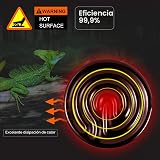 Ver la foto 3