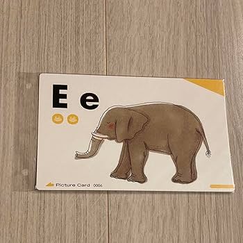 Amazon.co.jp: ペッピーキッズクラブ モラモラピクチャーカード Amazon.co.jp: ペッピーキッズクラブ モラモラピクチャーカード