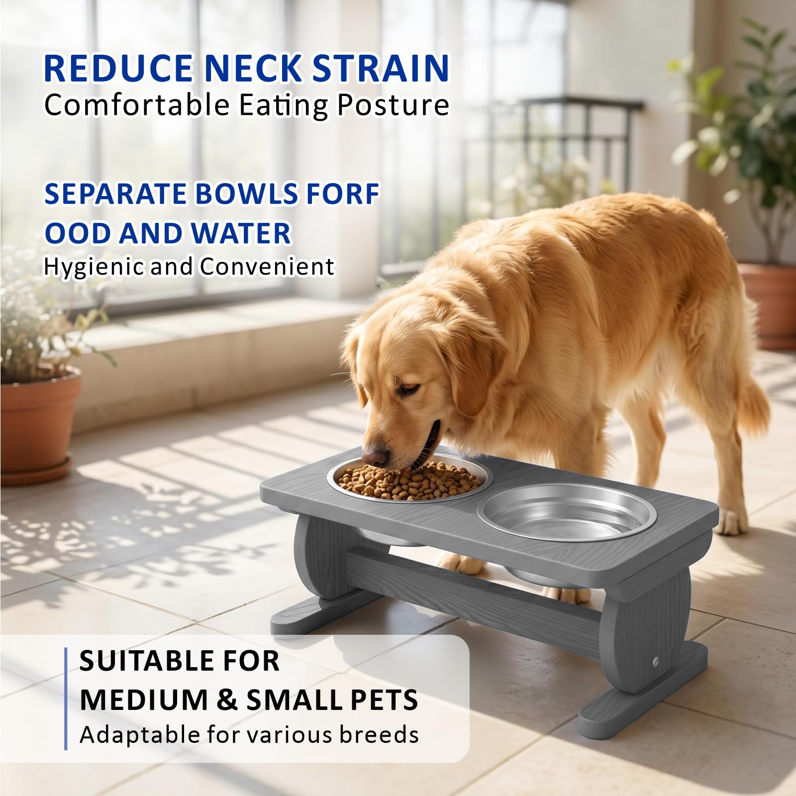 Support surélevé pour gamelle pour chien de petite taille, station d'alimentation avec 2 bols en acier inoxydable de 620 ml et assiette à lécher, bol de nourriture pour chien, gris