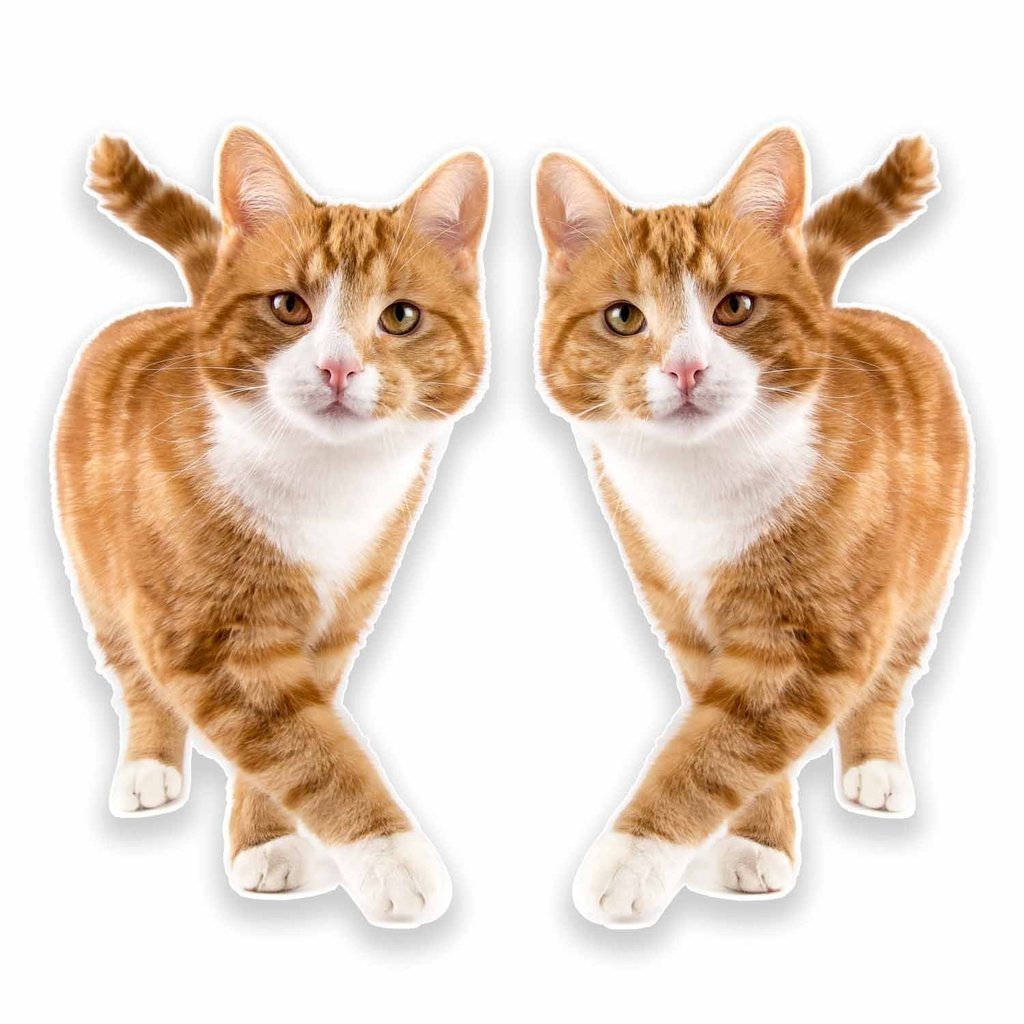 2 x 30cm/300mm Ginger Cat Window Cling Sticker Car Van Campervan Glass #9640