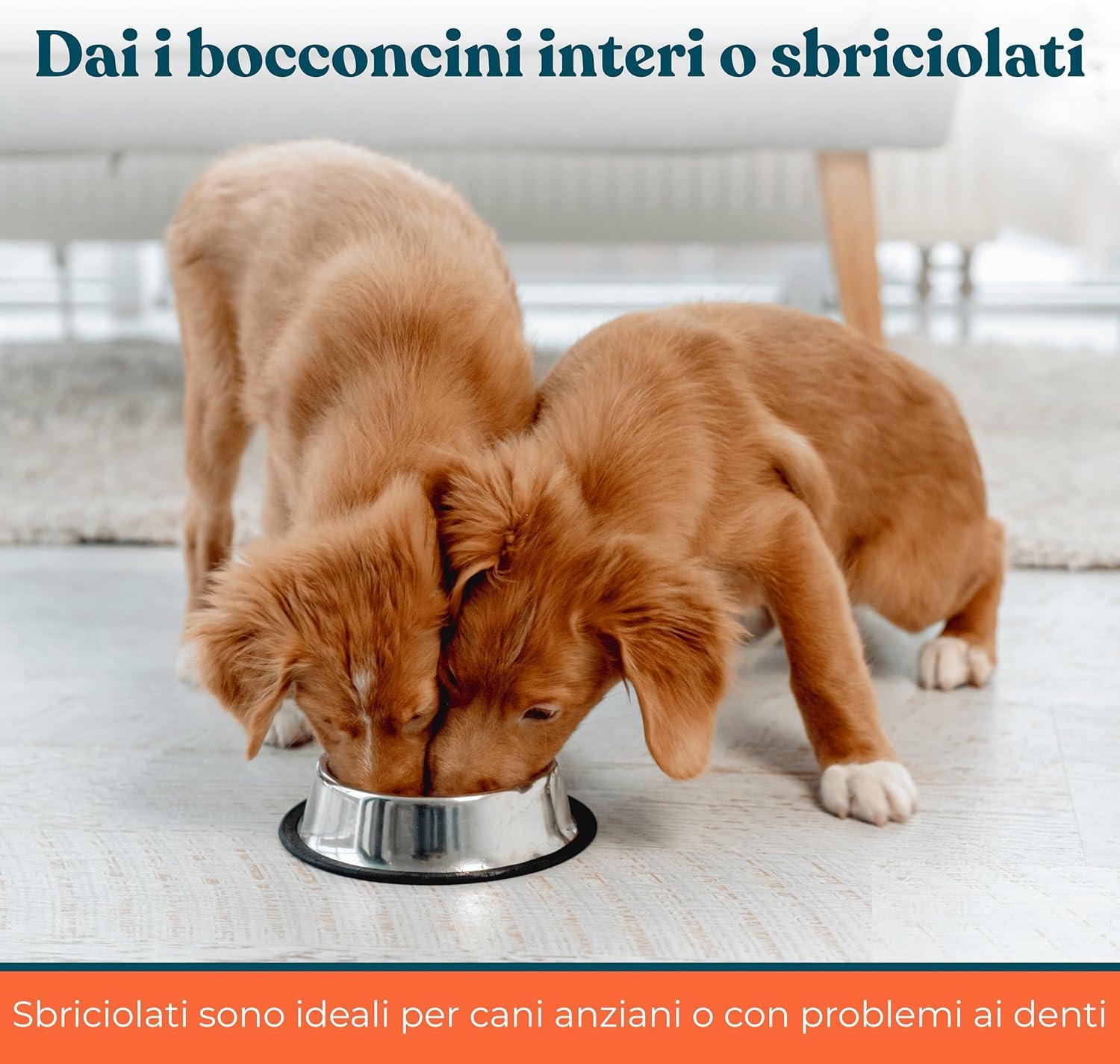 Supporto Prurito con Probiotici per Cani Gusto Manzo - Integratore per CanI per Prurito e Sensibilità Stagionali