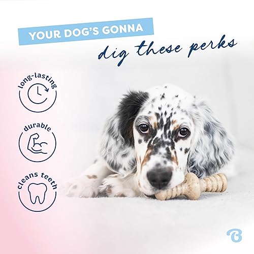 Vista 29 de Benebone Puppy Wishbone - Juguetes masticables para perros, más suaves para masticadores modestos, fabricados en Estados Unidos, mediano