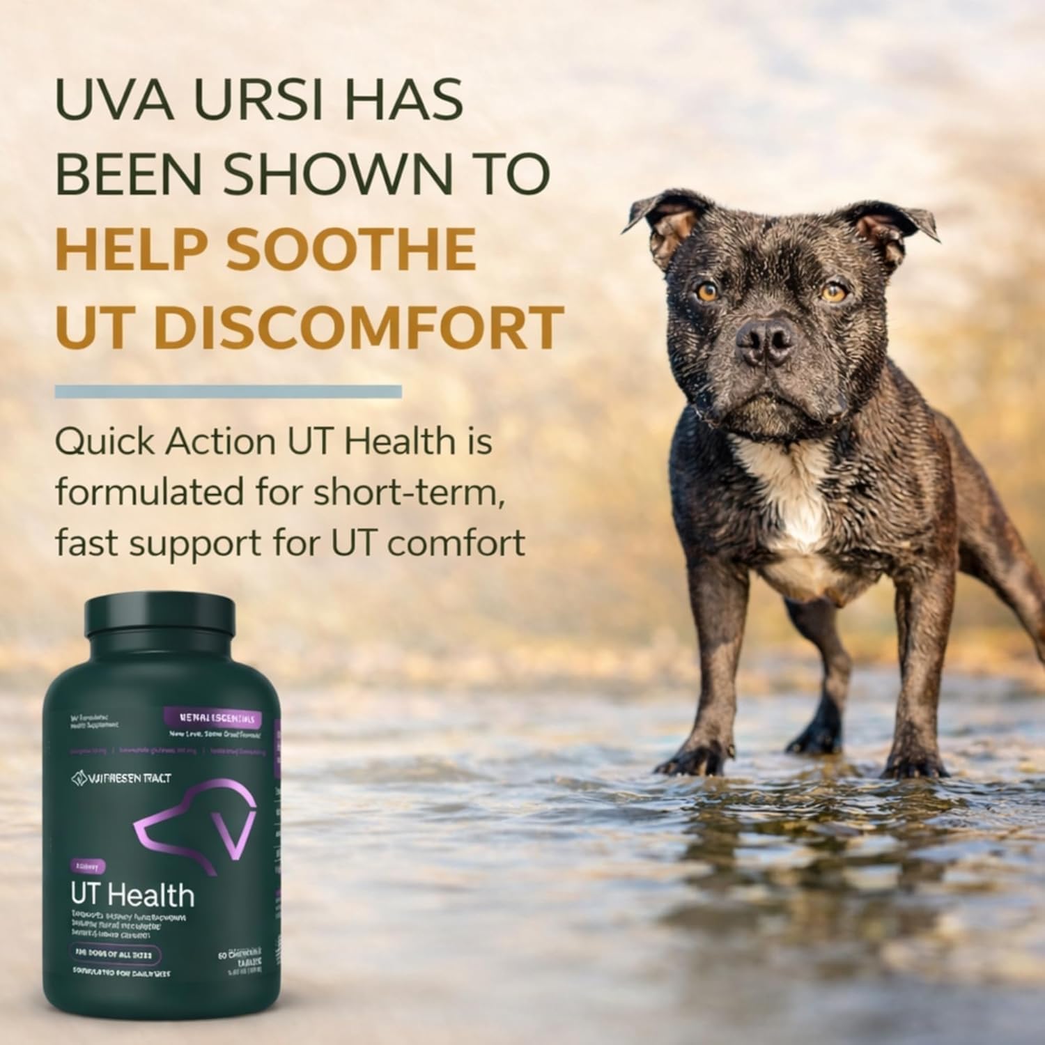 VetriScience Quick Action UT Health Chewable Tablets for Dogs, 90 Count — Amazon image 2