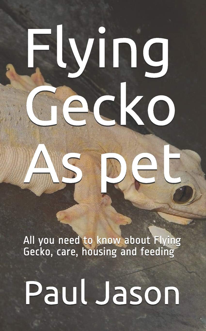 Buy Flying Gecko As pet: All you need to know about Flying Gecko, care ...