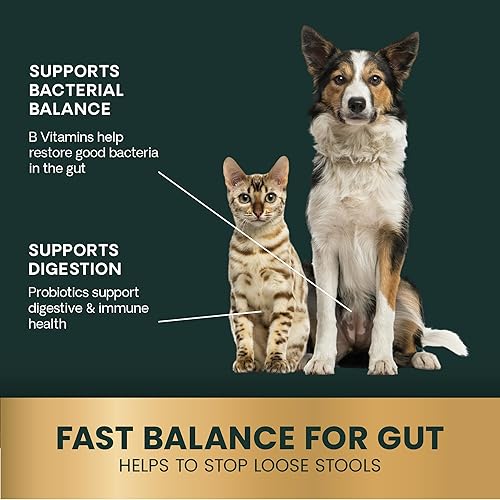 Miniatura 4 de VetriScience Pasta de ayuda para la diarrea de acción rápida con probióticos y vitaminas B, suplemento de apoyo digestivo de equilibrio rápido para