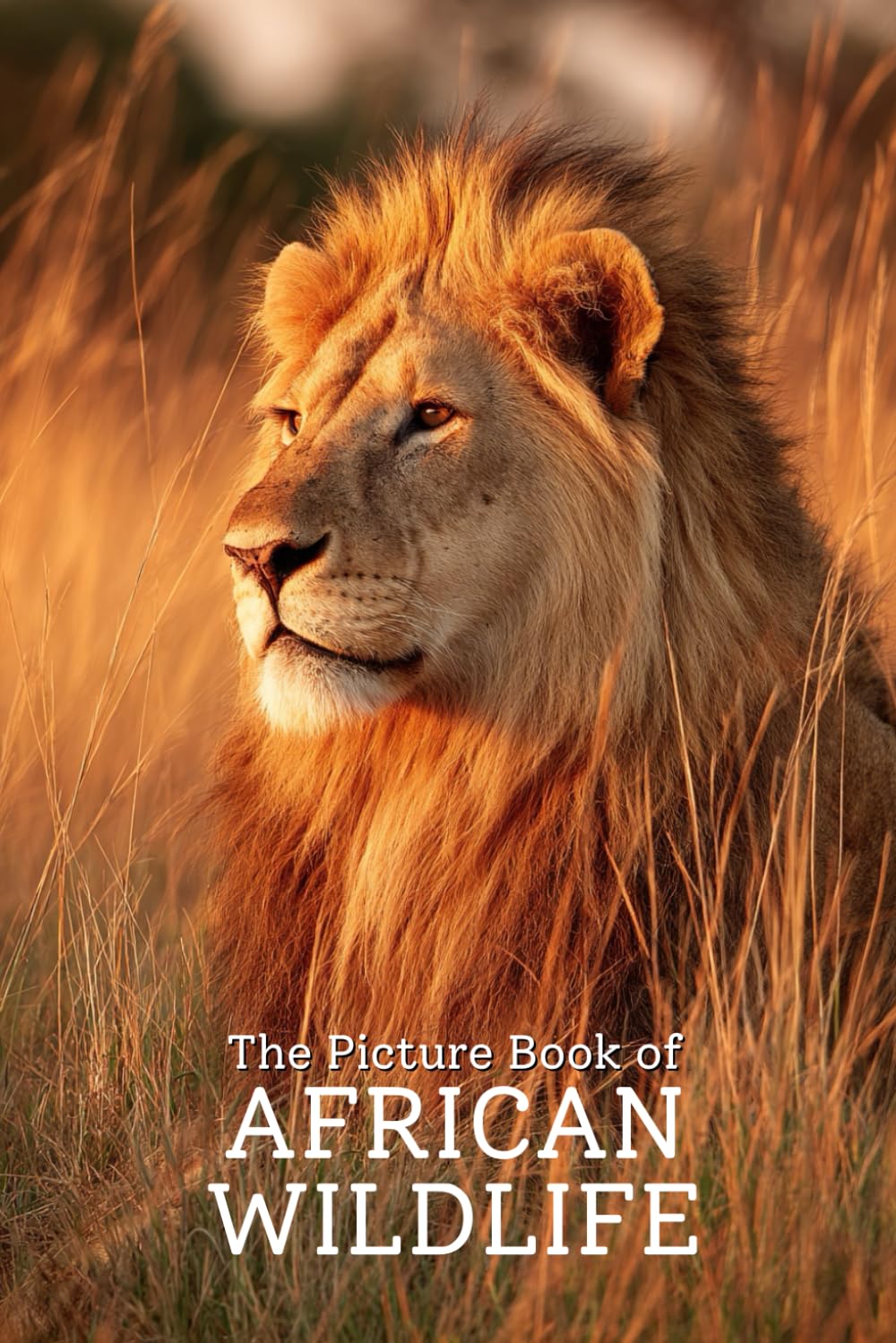 The Picture Book of African Wildlife | Stunning Photo-Realistic Images of Africa’s Wild Animals: A Premium 6x9 Inch Picture Book Featuring Lifelike ... Photography for Nature and Safari Lovers