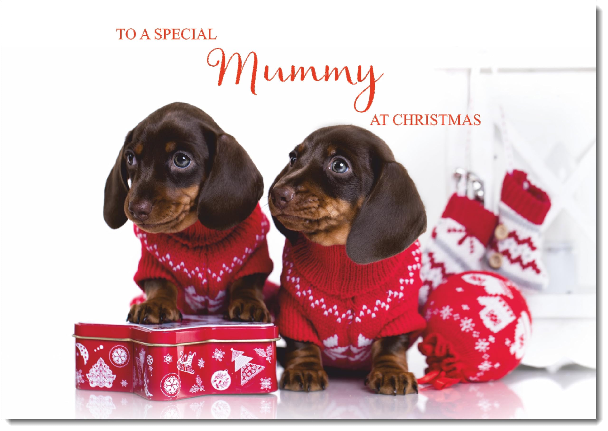 doodlecards Mummy Christmas Card Two Dogs with Christmas Jumpers Large A4 Size Christmas Card for Mummy with Plain Envelope