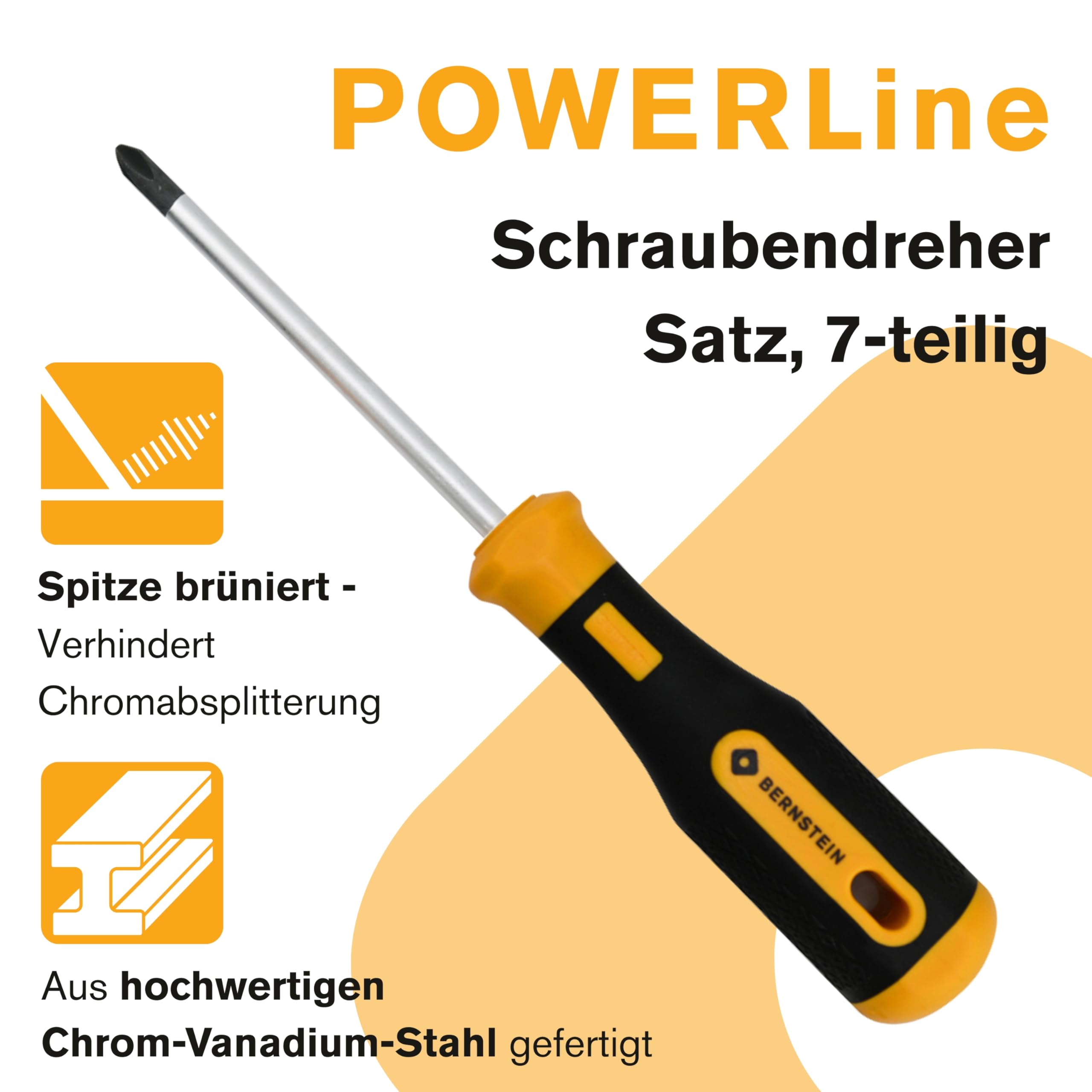 Bernstein Werkzeug GmbH 4-530 - Juego de destornilladores