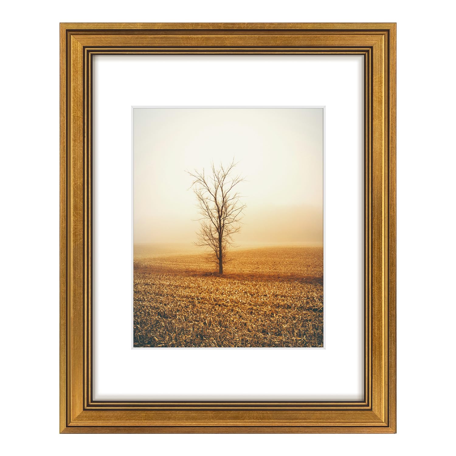 Golden State Art 11x14 Dark Gold Photo Frame White Mat for 8x10 Real Glass