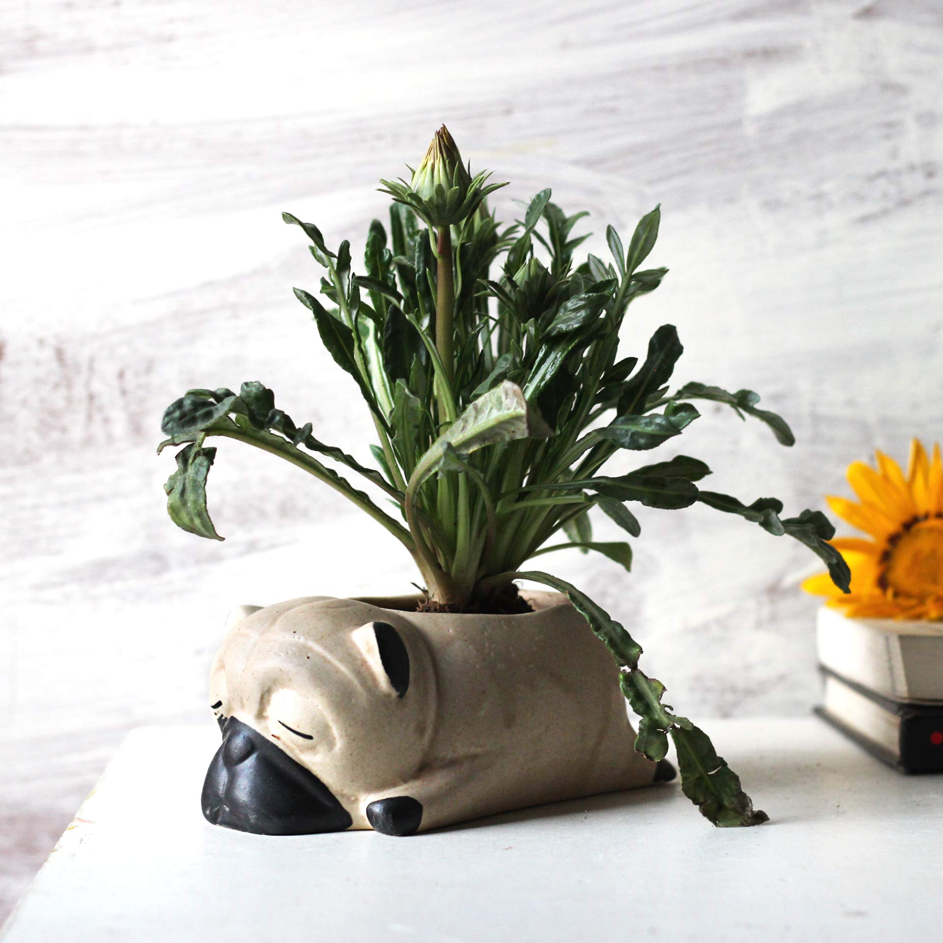 Green Home Ceramic Pug Planter, Animal/Dog Shaped Decorative Ceramic Planter Pot for Indoor/Outdoor Plants (Pack of 1) (B08WHK38P6) Amazon Price History, Amazon Price Tracker