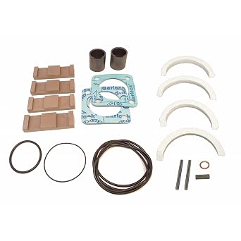 Blackmer 898929 Stainless Steel and Synthetic Main Kit NP2F